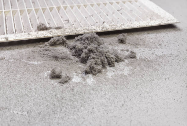 Best Home Air Vent Cleaning  in Chester, VA